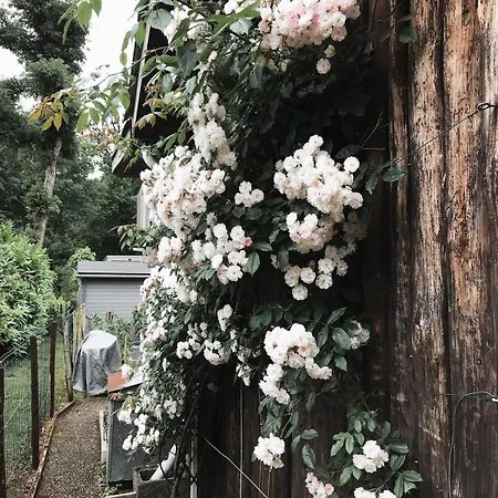 Le De La Leyre Brioude