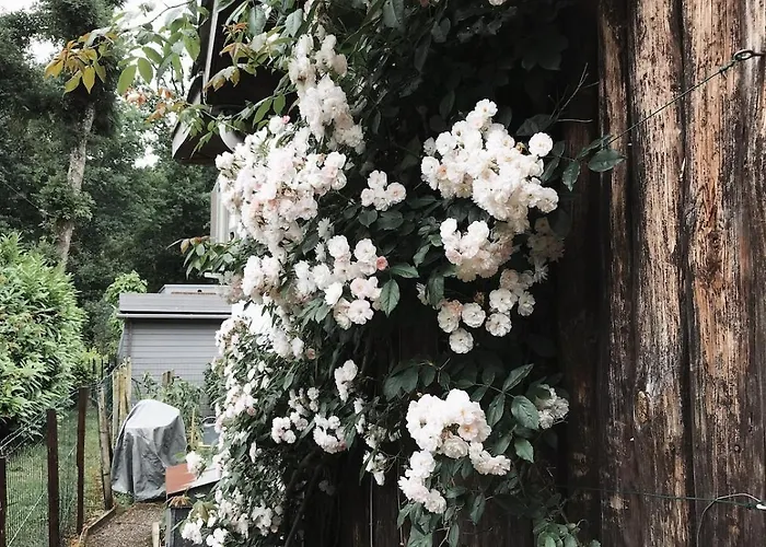 Le De La Leyre Brioude